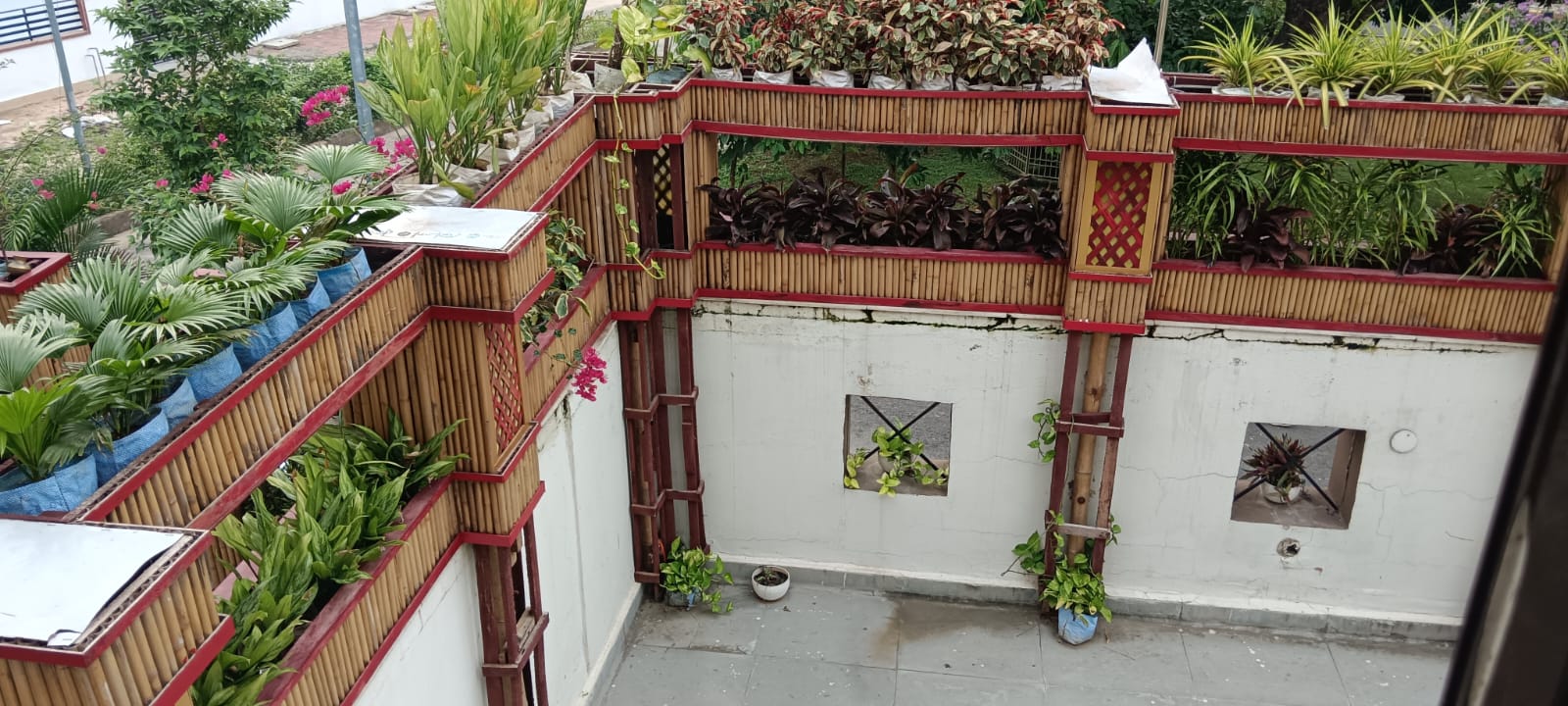 Rooftop bamboo planter railing filled with palms, coleus, and dense foliage, seen from above