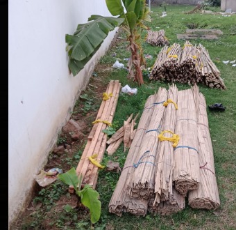 Bundles of raw Ganga Bamboo stacked and tied, ready for construction
